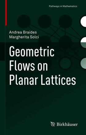 Solci / Braides |  Geometric Flows on Planar Lattices | Buch |  Sack Fachmedien