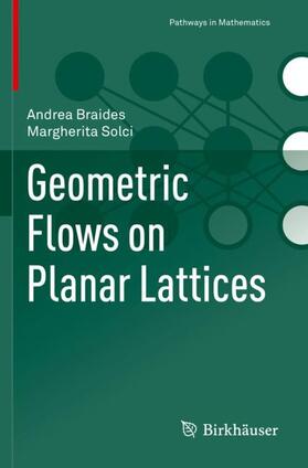 Solci / Braides |  Geometric Flows on Planar Lattices | Buch |  Sack Fachmedien