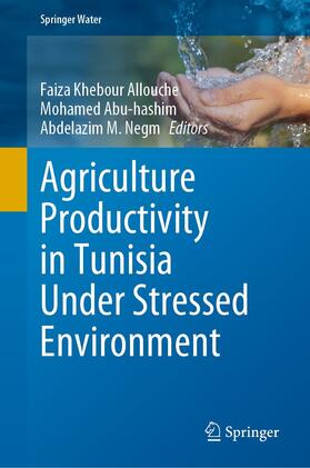 Khebour Allouche / Abu-hashim / Negm |  Agriculture Productivity in Tunisia Under Stressed Environment | eBook | Sack Fachmedien