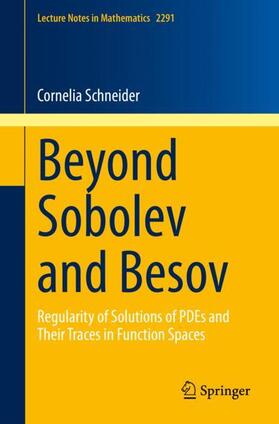 Schneider |  Beyond Sobolev and Besov | Buch |  Sack Fachmedien