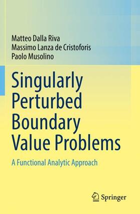 Dalla Riva / Musolino / Lanza de Cristoforis |  Singularly Perturbed Boundary Value Problems | Buch |  Sack Fachmedien