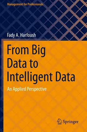 Harfoush |  From Big Data to Intelligent Data | eBook | Sack Fachmedien