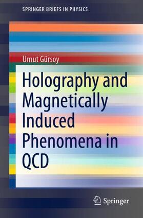 Gürsoy |  Holography and Magnetically Induced Phenomena in QCD | Buch |  Sack Fachmedien