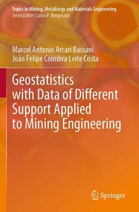 Coimbra Leite Costa / Arcari Bassani |  Geostatistics with Data of Different Support Applied to Mining Engineering | Buch |  Sack Fachmedien