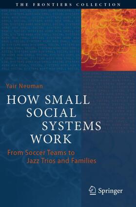 Neuman |  How Small Social Systems Work | Buch |  Sack Fachmedien
