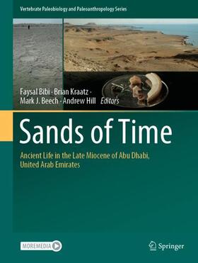 Bibi / Hill / Kraatz |  Sands of Time | Buch |  Sack Fachmedien