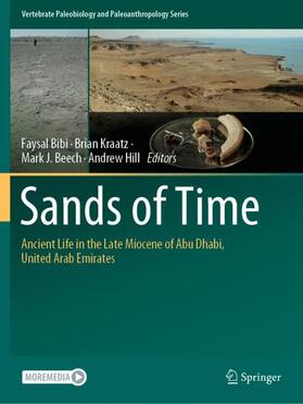 Bibi / Hill / Kraatz |  Sands of Time | Buch |  Sack Fachmedien