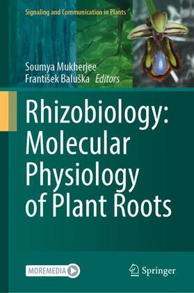 Baluška / Mukherjee |  Rhizobiology: Molecular Physiology of Plant Roots | Buch |  Sack Fachmedien
