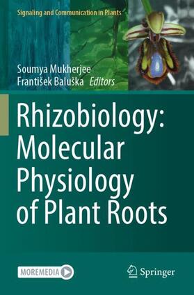 Baluška / Mukherjee |  Rhizobiology: Molecular Physiology of Plant Roots | Buch |  Sack Fachmedien