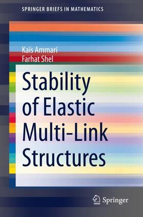 Shel / Ammari |  Stability of Elastic Multi-Link Structures | Buch |  Sack Fachmedien