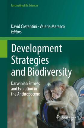 Marasco / Costantini |  Development Strategies and Biodiversity | Buch |  Sack Fachmedien