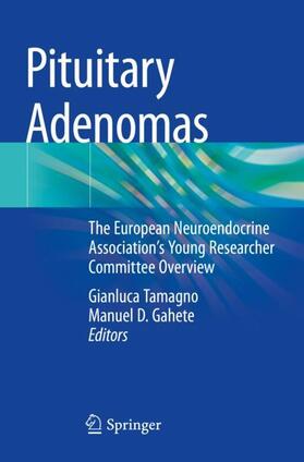Gahete / Tamagno |  Pituitary Adenomas | Buch |  Sack Fachmedien