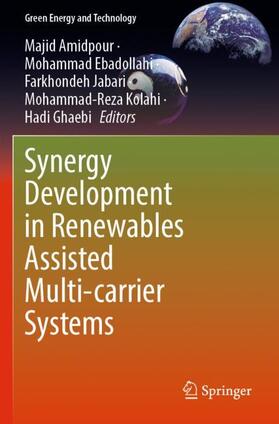 Amidpour / Ebadollahi / Ghaebi |  Synergy Development in Renewables Assisted Multi-carrier Systems | Buch |  Sack Fachmedien