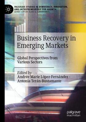 Terán-Bustamante / López-Fernández |  Business Recovery in Emerging Markets | Buch |  Sack Fachmedien