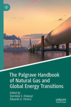 Olawuyi / Pereira |  The Palgrave Handbook of Natural Gas and Global Energy Transitions | eBook | Sack Fachmedien
