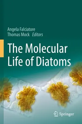 Mock / Falciatore |  The Molecular Life of Diatoms | Buch |  Sack Fachmedien