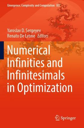 De Leone / Sergeyev |  Numerical  Infinities and Infinitesimals in Optimization | Buch |  Sack Fachmedien