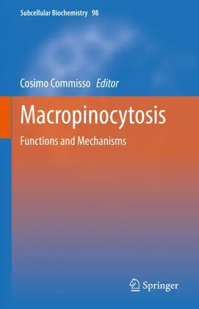 Commisso |  Macropinocytosis | Buch |  Sack Fachmedien