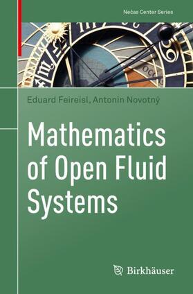 Novotný / Feireisl |  Mathematics of Open Fluid Systems | Buch |  Sack Fachmedien