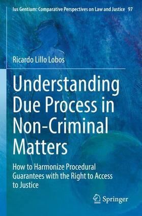 Lillo Lobos |  Understanding Due Process in Non-Criminal Matters | Buch |  Sack Fachmedien