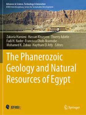 Hamimi / Khozyem / Adatte |  The Phanerozoic Geology and Natural Resources of Egypt | Buch |  Sack Fachmedien