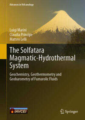 Marini / Principe / Lelli |  The Solfatara Magmatic-Hydrothermal System | eBook | Sack Fachmedien