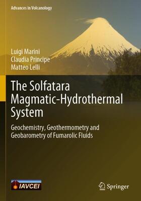 Marini / Lelli / Principe |  The Solfatara Magmatic-Hydrothermal System | Buch |  Sack Fachmedien