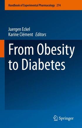 Clément / Eckel |  From Obesity to Diabetes | Buch |  Sack Fachmedien