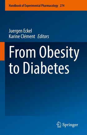 Eckel / Clément |  From Obesity to Diabetes | eBook | Sack Fachmedien