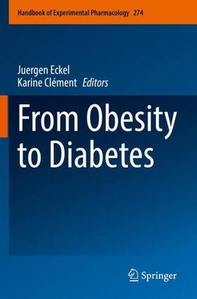 Clément / Eckel |  From Obesity to Diabetes | Buch |  Sack Fachmedien