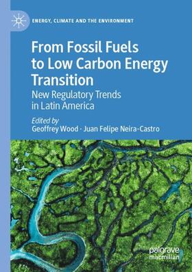 Neira-Castro / Wood |  From Fossil Fuels to Low Carbon Energy Transition | Buch |  Sack Fachmedien