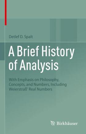 Spalt |  A Brief History of Analysis | Buch |  Sack Fachmedien