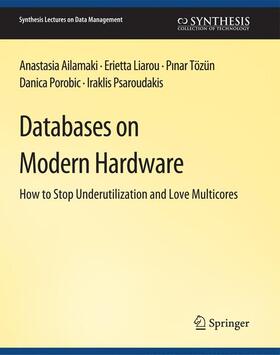 Ailamaki / Liarou / Psaroudakis |  Databases on Modern Hardware | Buch |  Sack Fachmedien