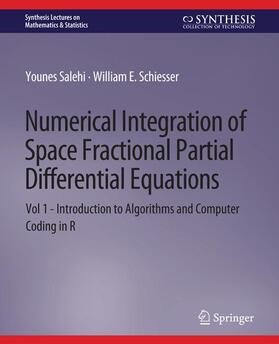 Schiesser / Salehi |  Numerical Integration of Space Fractional Partial Differential Equations | Buch |  Sack Fachmedien