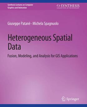 Spagnuolo / Patanè |  Heterogeneous Spatial Data | Buch |  Sack Fachmedien