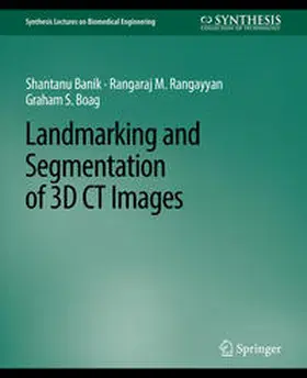 Banik / Rangayyan / Boag |  Landmarking and Segmentation of 3D CT Images | eBook | Sack Fachmedien