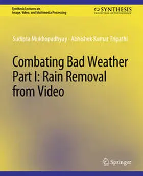 Mukhopadhyay / Tripathi |  Combating Bad Weather Part I | eBook | Sack Fachmedien