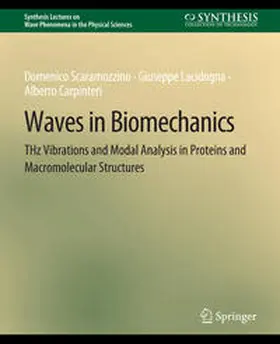 Scaramozzino / Lacidogna / Carpinteri |  Waves in Biomechanics | eBook | Sack Fachmedien