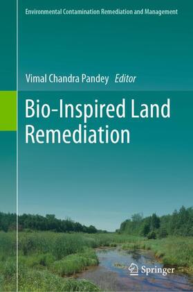 Pandey |  Bio-Inspired Land Remediation | Buch |  Sack Fachmedien