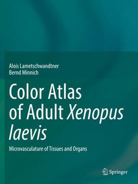 Minnich / Lametschwandtner |  Color Atlas of Adult Xenopus laevis | Buch |  Sack Fachmedien