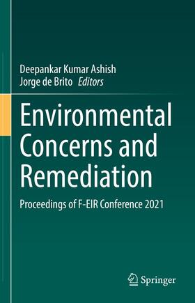 Ashish / de Brito |  Environmental Concerns and Remediation | eBook | Sack Fachmedien