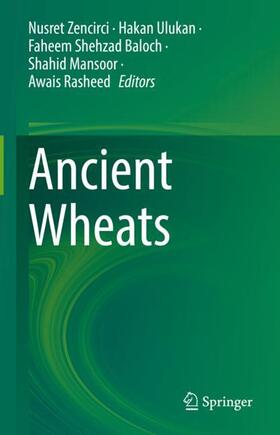 Zencirci / Ulukan / Rasheed |  Ancient Wheats | Buch |  Sack Fachmedien