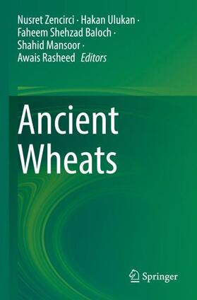 Zencirci / Ulukan / Rasheed |  Ancient Wheats | Buch |  Sack Fachmedien