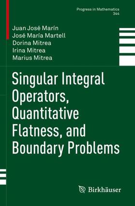 Marín / Martell / Mitrea |  Singular Integral Operators, Quantitative Flatness, and Boundary Problems | Buch |  Sack Fachmedien