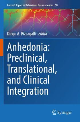 Pizzagalli |  Anhedonia: Preclinical, Translational, and Clinical Integration | Buch |  Sack Fachmedien