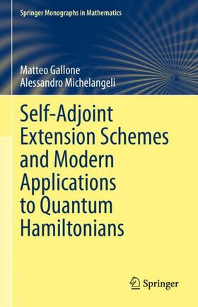 Gallone / Michelangeli |  Self-Adjoint Extension Schemes and Modern Applications to Quantum Hamiltonians | Buch |  Sack Fachmedien