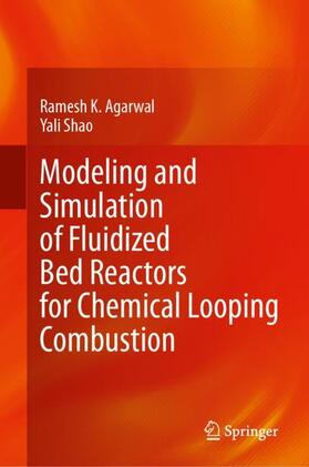 Shao / Agarwal |  Modeling and Simulation of Fluidized Bed Reactors for Chemical Looping Combustion | Buch |  Sack Fachmedien