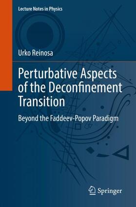 Reinosa |  Perturbative Aspects of the Deconfinement Transition | Buch |  Sack Fachmedien