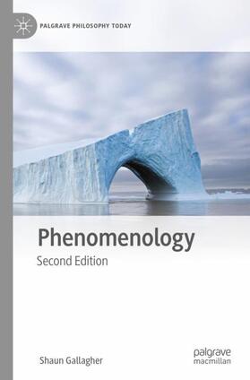 Gallagher |  Phenomenology | Buch |  Sack Fachmedien
