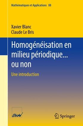 Le Bris / Blanc |  Homogénéisation en milieu périodique... ou non | Buch |  Sack Fachmedien
